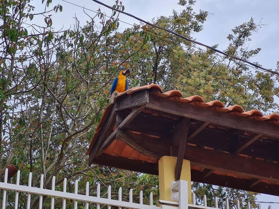 Chacara Com Tennis Em Joaquim Egidio - Campinas Sp *