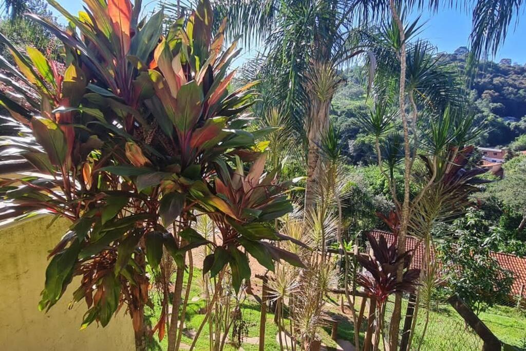 Chacara Com Tennis Em Joaquim Egidio - Campinas Sp * Campinas (Sao Paulo)